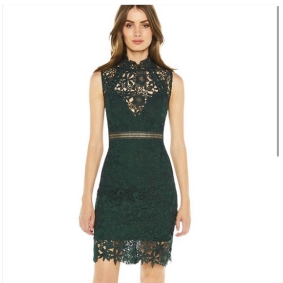 Bardot Dresses & Skirts - BARDOT green lace sheath dress size:6